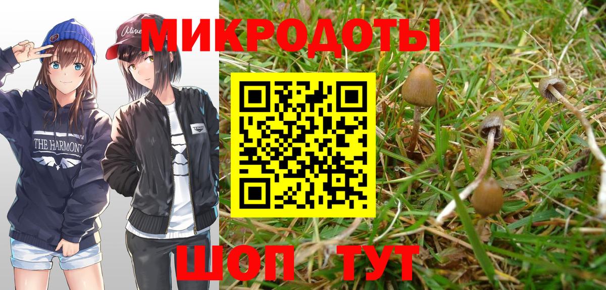 Галлюциногенные грибы Magic Shrooms Сегежа